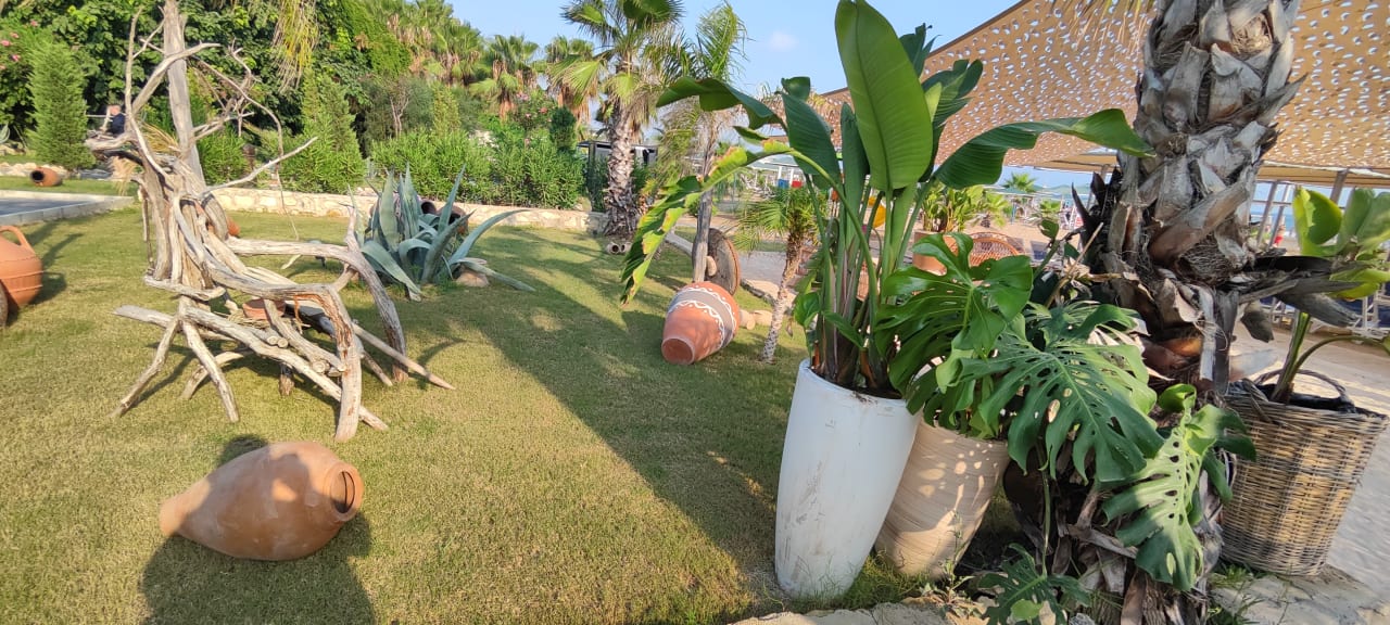 Gartenanlage Dream Water World