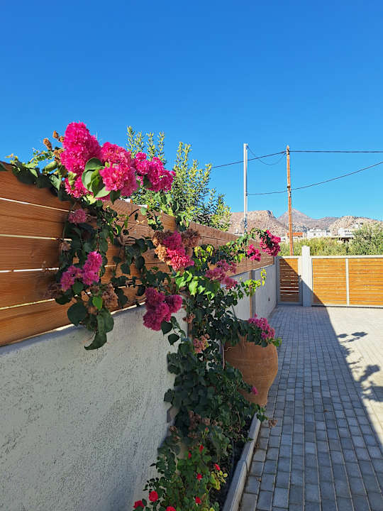 Außenansicht Athena Luxury Villa by Estia