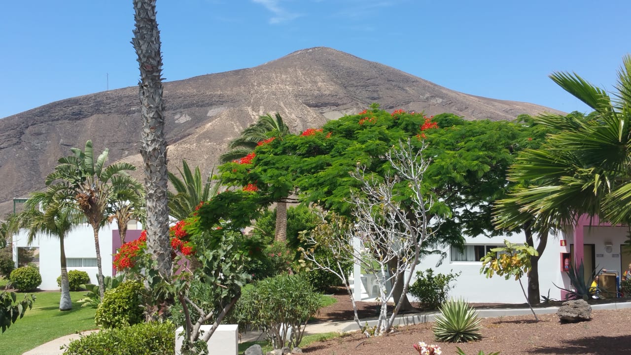 Gartenanlage allsun App.-Hotel Esquinzo Beach