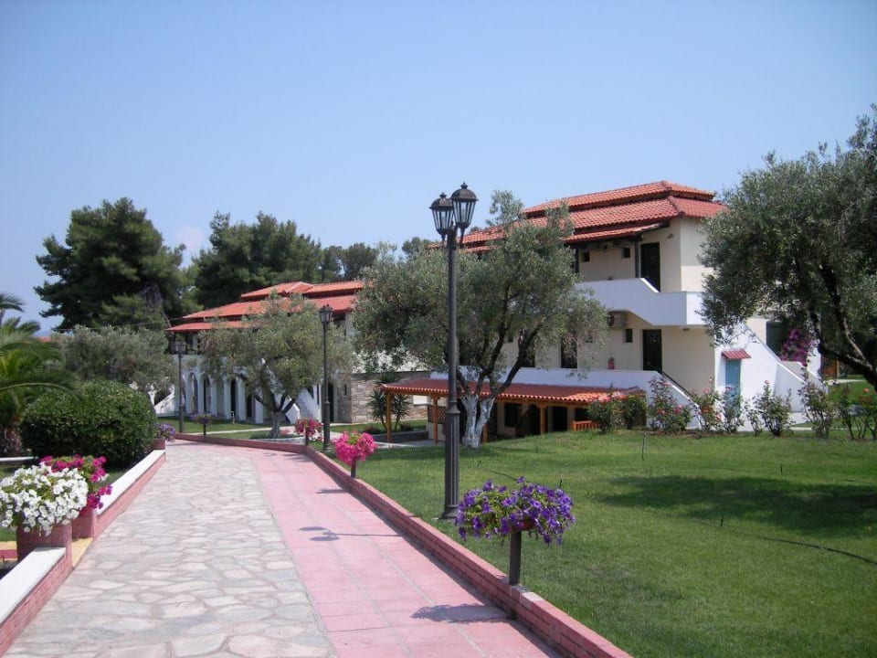 Hotel Blue Dolphin Blue Dolphin Resort Hotel