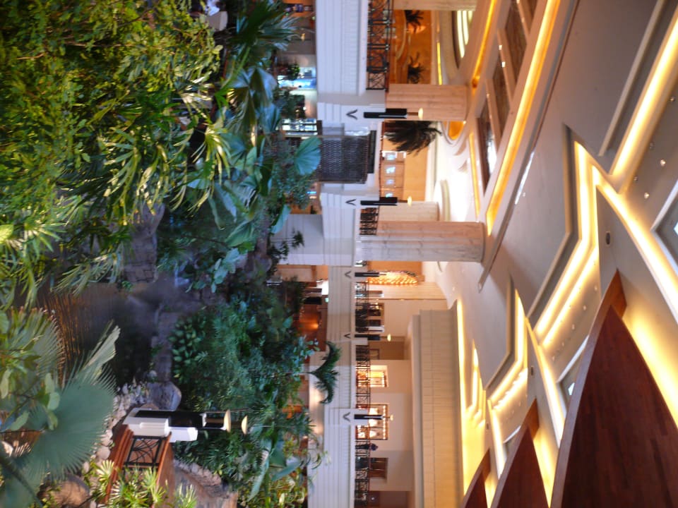 Eine Oase Grand Hyatt Dubai