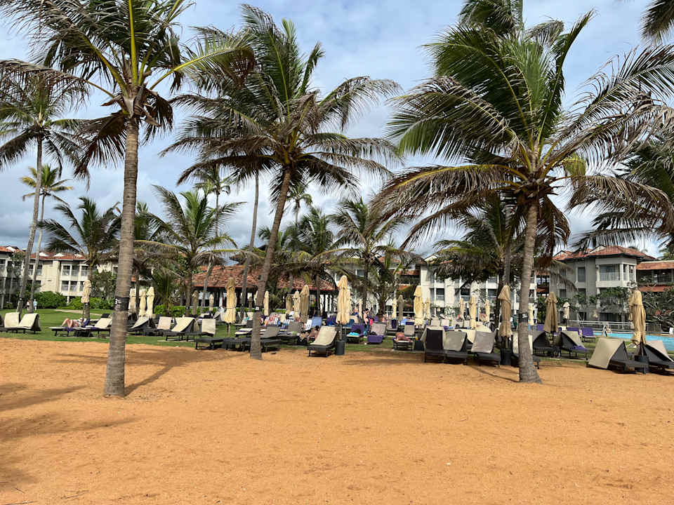 Strand Club Hotel Dolphin