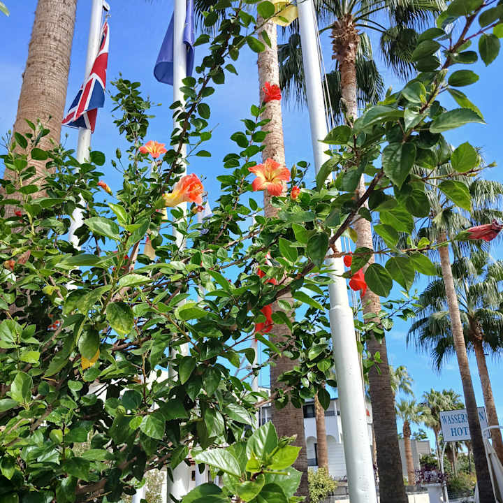 Außenansicht Hotel Wassermann