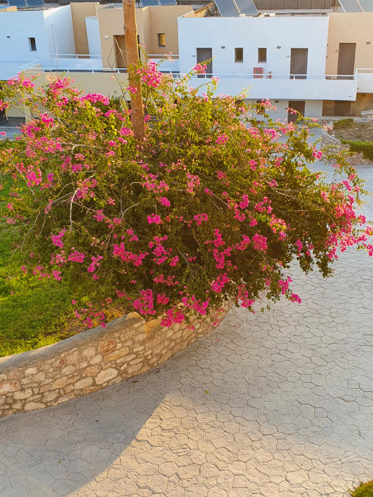 Gartenanlage Atlantica Mikri Poli Rhodes