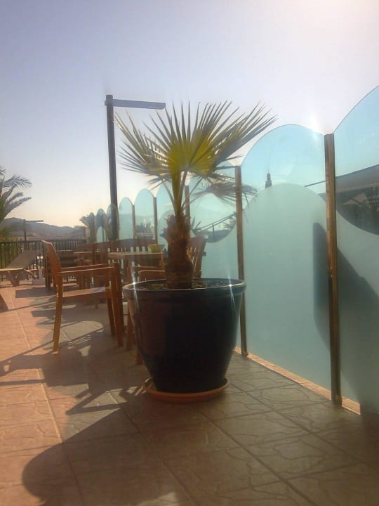 Am Pool Hotel Osiris