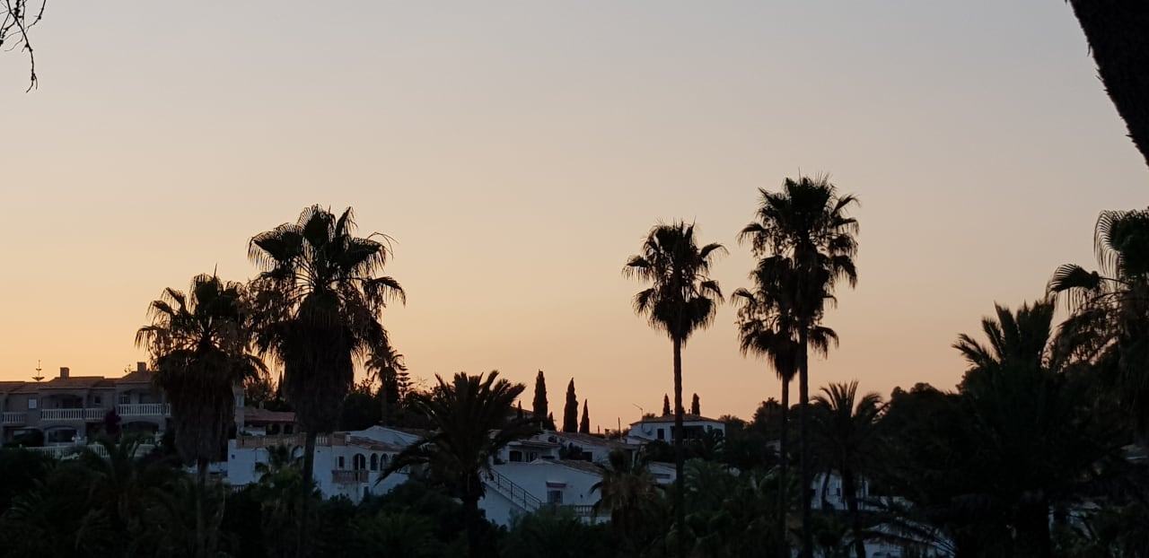 Ausblick Flipflop Cala Romantica