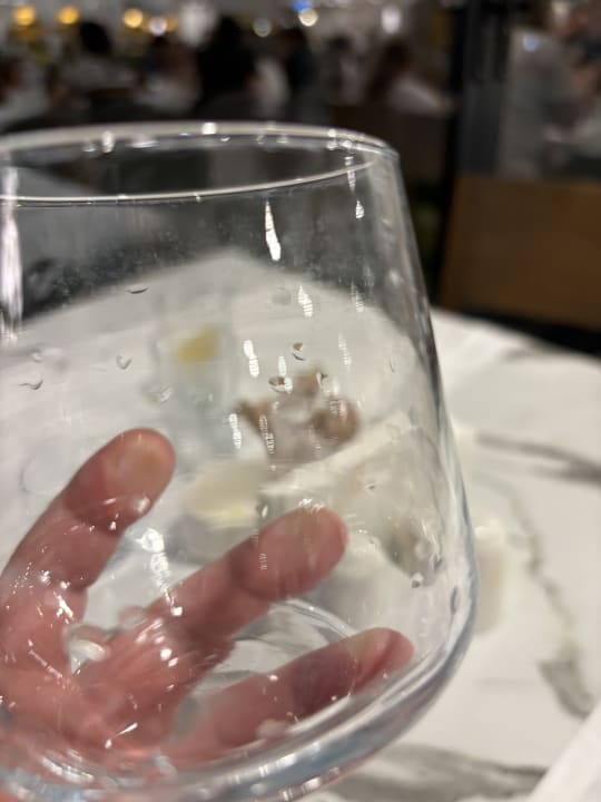 Gastro Monachus Family Resort Sorgun