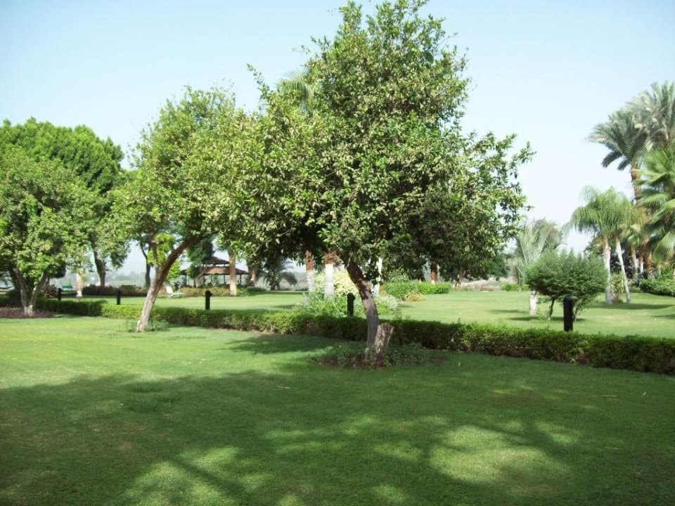 Garten Jolie Ville Kings Island Luxor