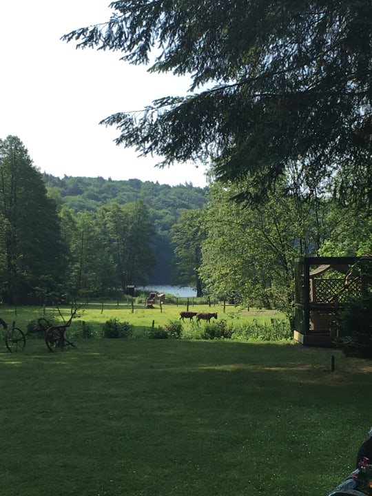 Ausblick Hotel Boltenmühle
