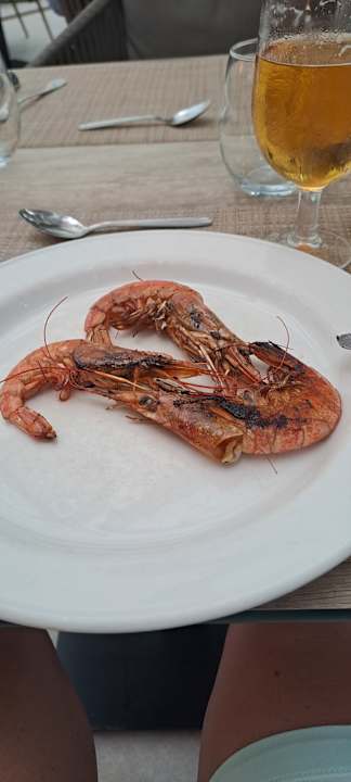 Gastro Hotel Bahia del Sol