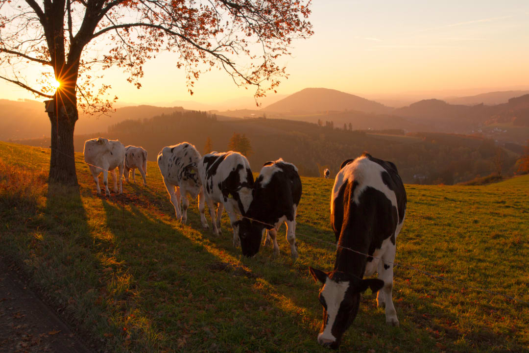 Sonstiges Hotel Landgasthof Gilsbach