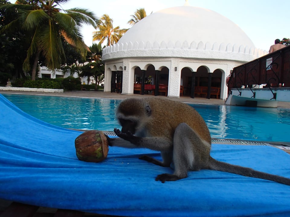 Pool Hotel Southern Palms Beach Resort
