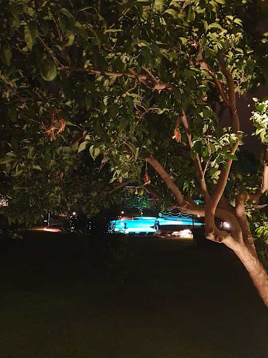 Pool Limak Limra Hotel & Resort