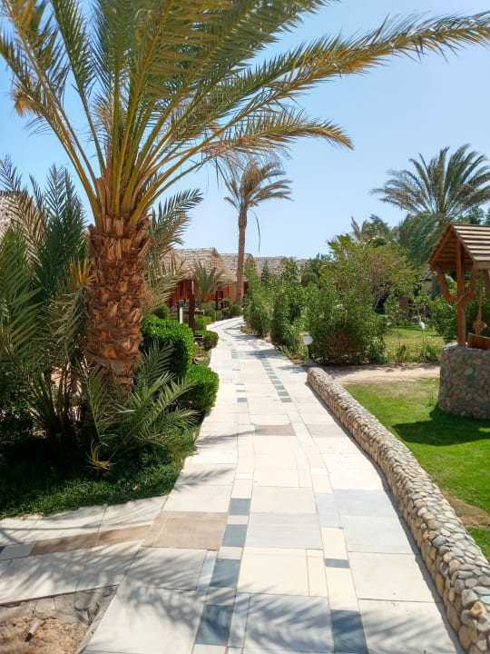 Außenansicht Panorama Bungalows Resort El Gouna