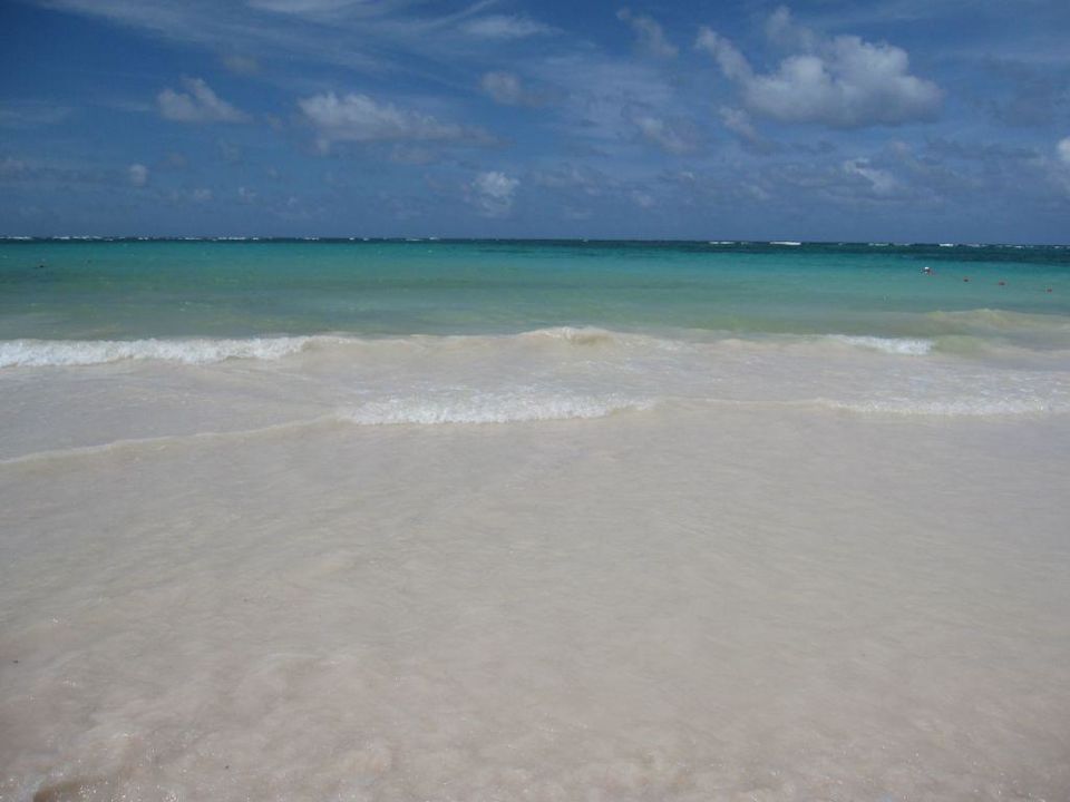 Hotelstrand Hotel Riu Palace Bavaro