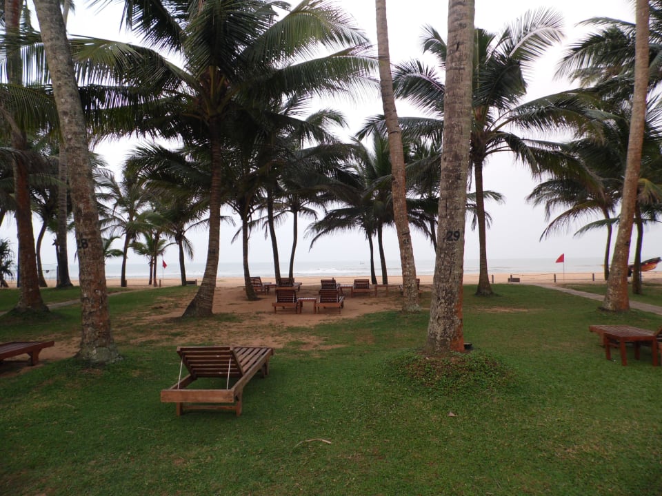 Blick Richtung Meer Mermaid Hotel & Club