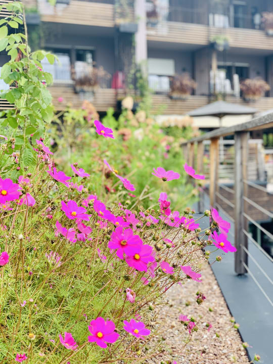 Gartenanlage Hirzer 2781 - Pure Pleasure Hotel