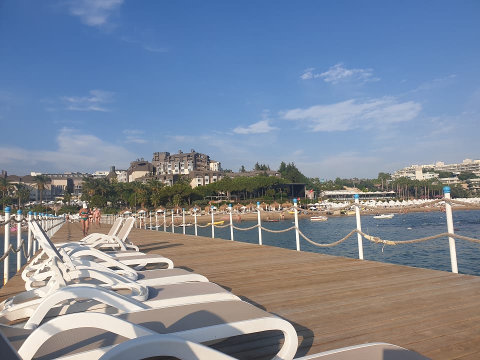 Sonstiges PALOMA Perissia