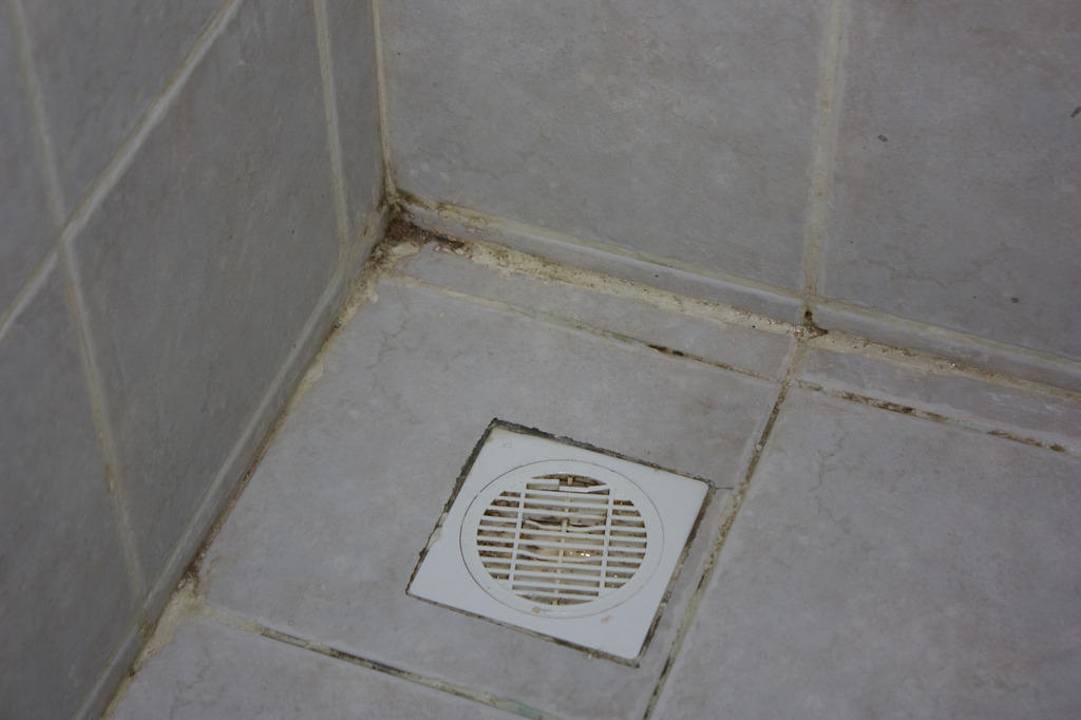 Dusche Hotel Coral Island Resort