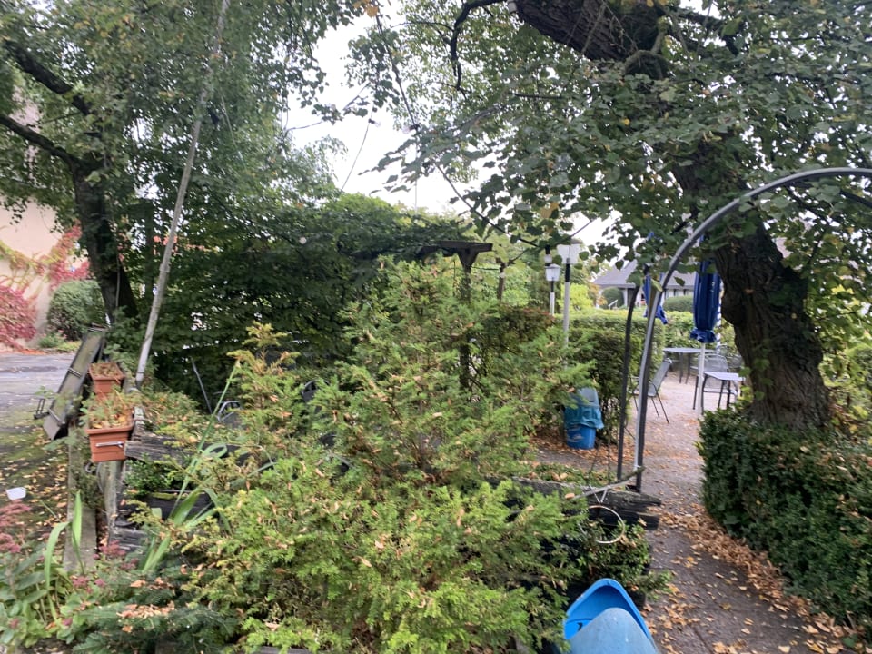 Gartenanlage Landhotel Lechstedter Obstweinschänke