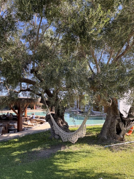 Außenansicht Olea All Suite Hotel