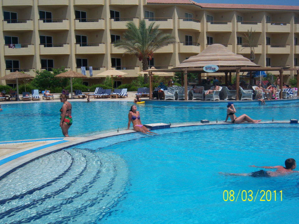 Basen, a w tle bar Amwaj Beach Club Abu Soma Resort