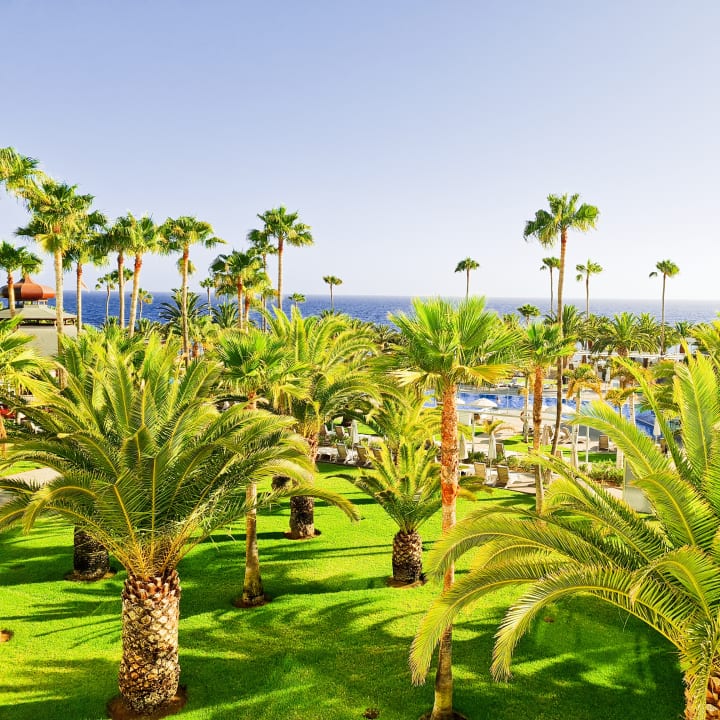 Gartenanlage Hotel Riu Palace Tenerife