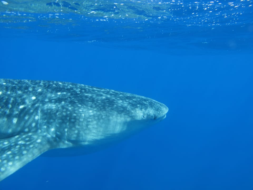 Sport & Freizeit Three Corners Equinox Beach Resort