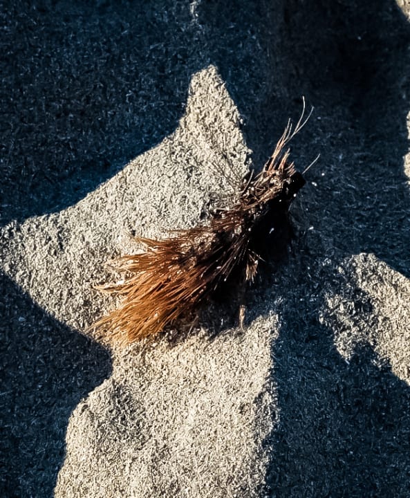 Strand Sol Milanos Pinguinos by Melia