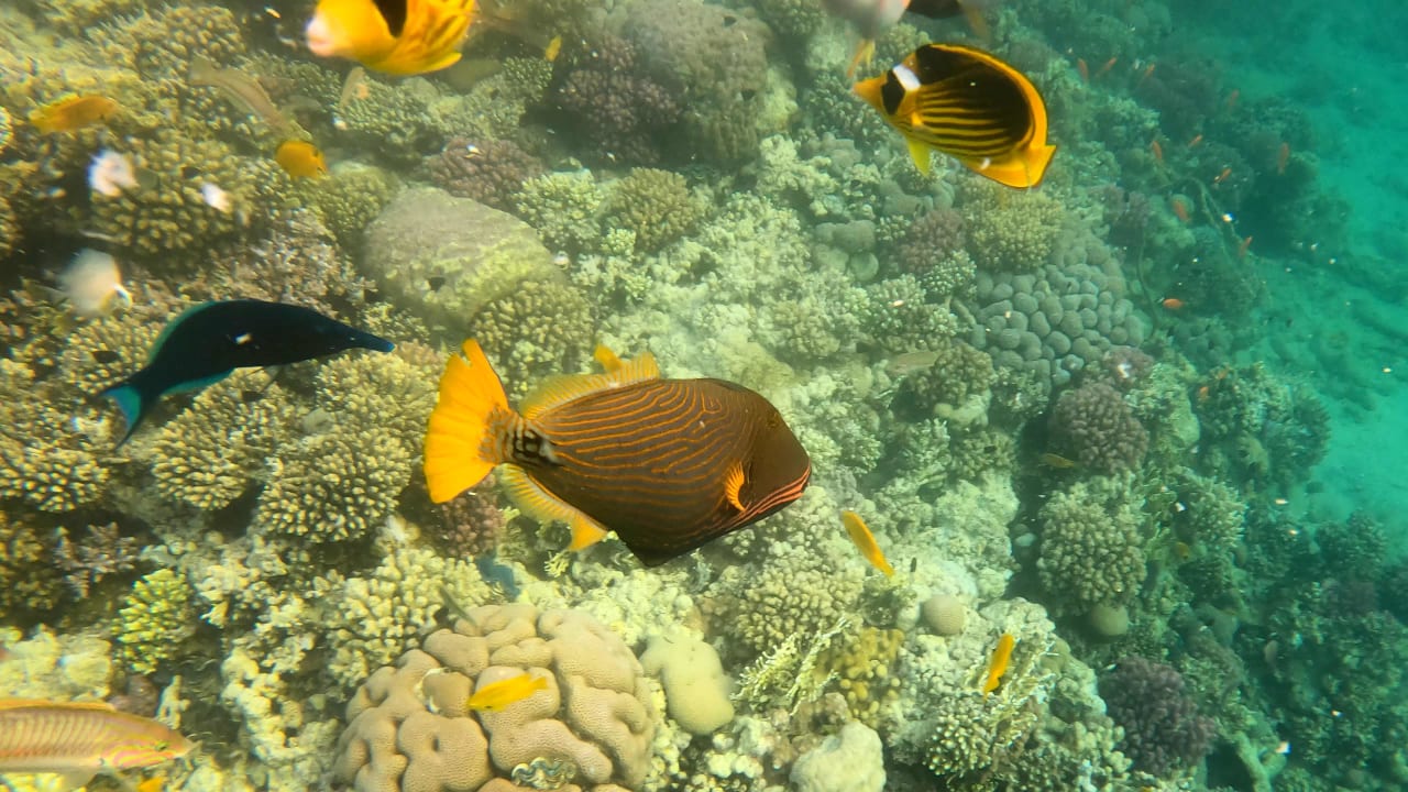 Sport & Freizeit Makadi Spa - Adults only