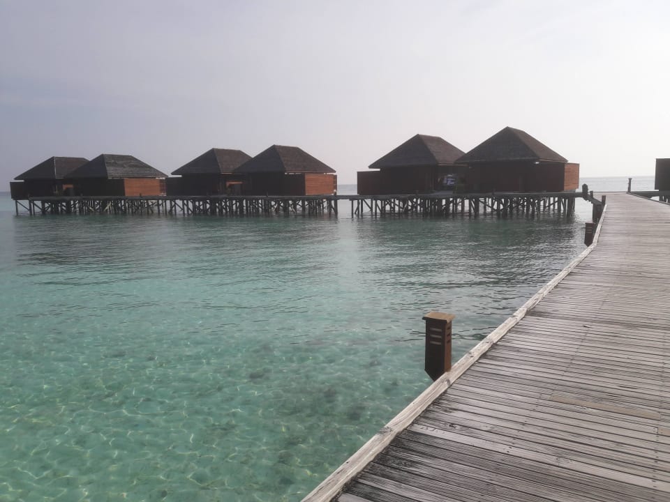 Wasser Bungalows Veligandu Maldives Resort Island