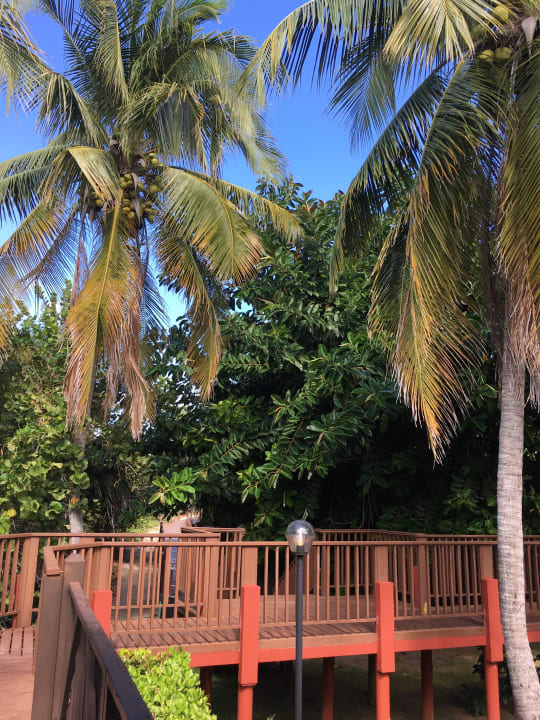 Außenansicht Sol Hicacos Varadero