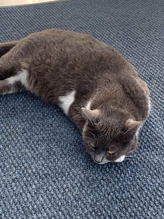 Gartenanlage Hotel Terrace Beach Resort