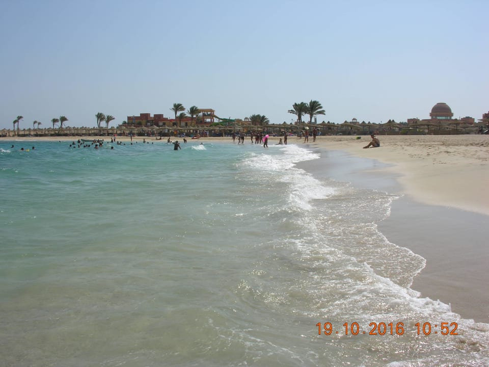 Widok z plaży na hotel Malikia Resort Abu Dabbab