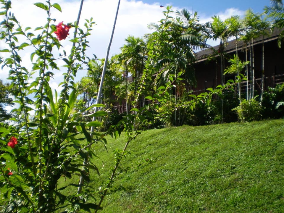 Longhouse mit den Duplex Suiten Aiman Batang Ai Resort & Retreat