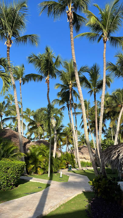 Gartenanlage Hotel Viva Dominicus Beach by Wyndham - All Inclusive Resort