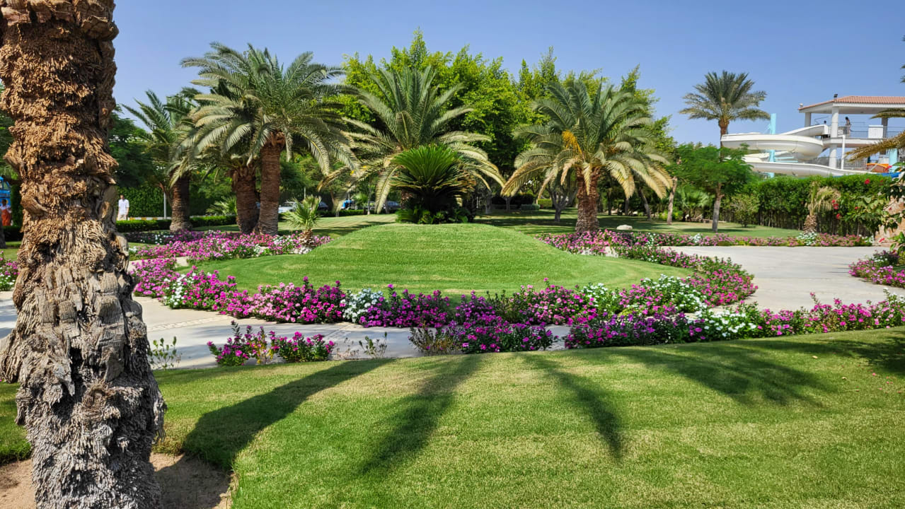Gartenanlage Desert Rose
