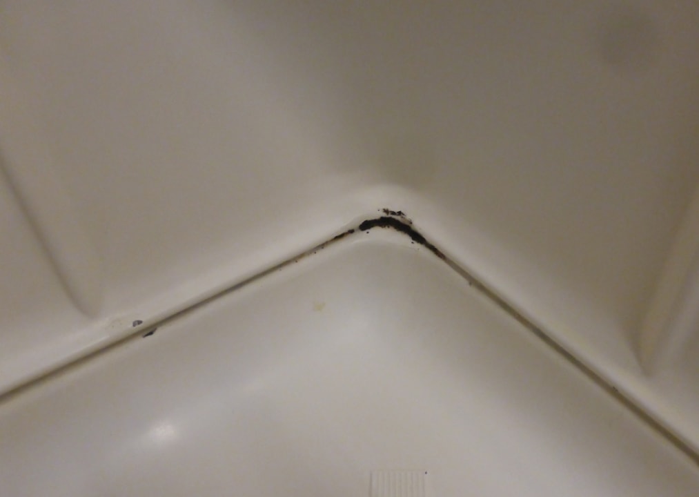 Zimmer Hotel delle Bonciani