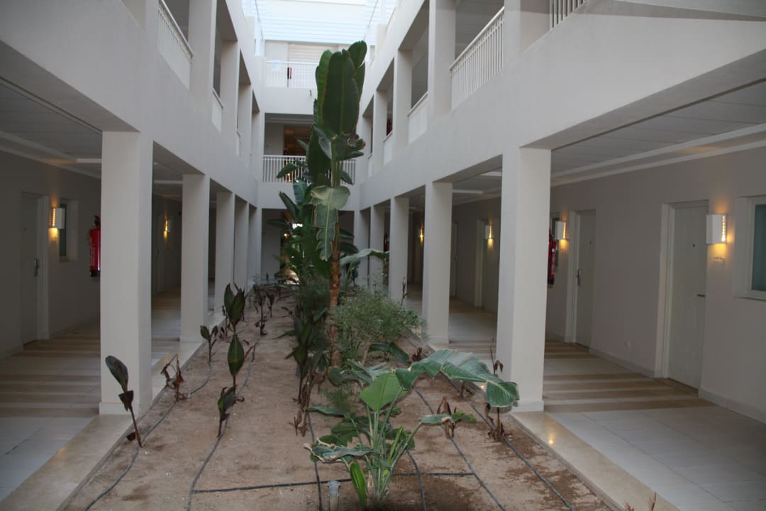 Sonstiges Jaz Aquaviva