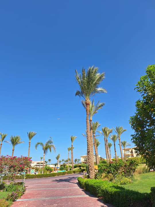 Gartenanlage Cleopatra Luxury Resort Makadi Bay