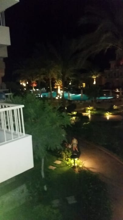 2. Stock  Sea Star Beau Rivage