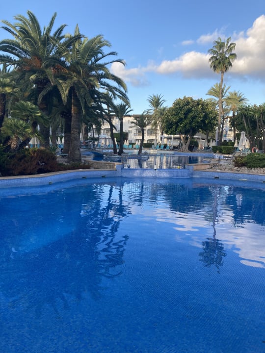 Pool Alcudia Garden Aparthotel