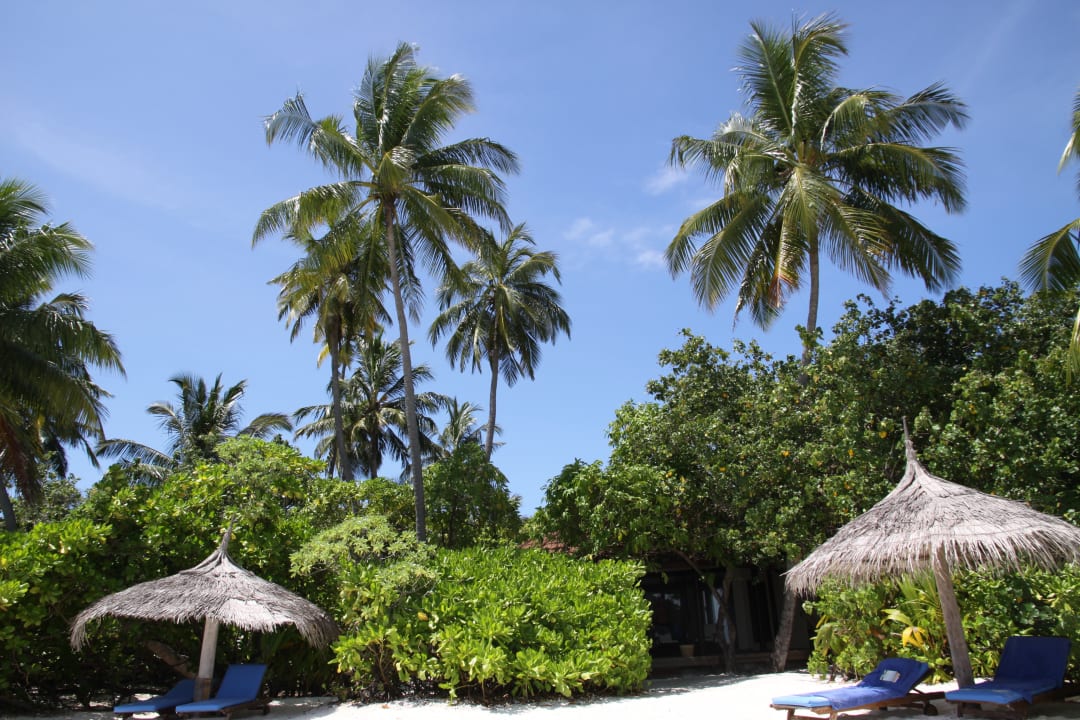 Strandbungalows ROBINSON MALDIVES