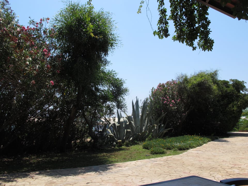 Gehwege in der Gartenanlage Belconti Resort Hotel