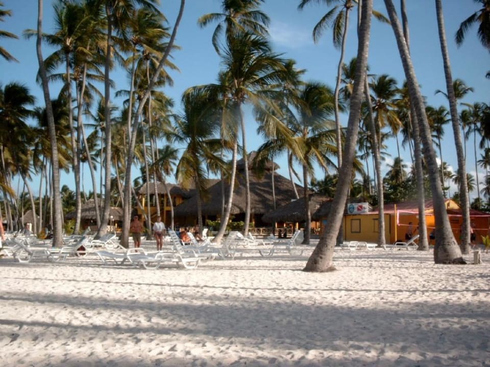 Barcelo Bavaro Ocean Village Villas Bavaro Resort & Spa