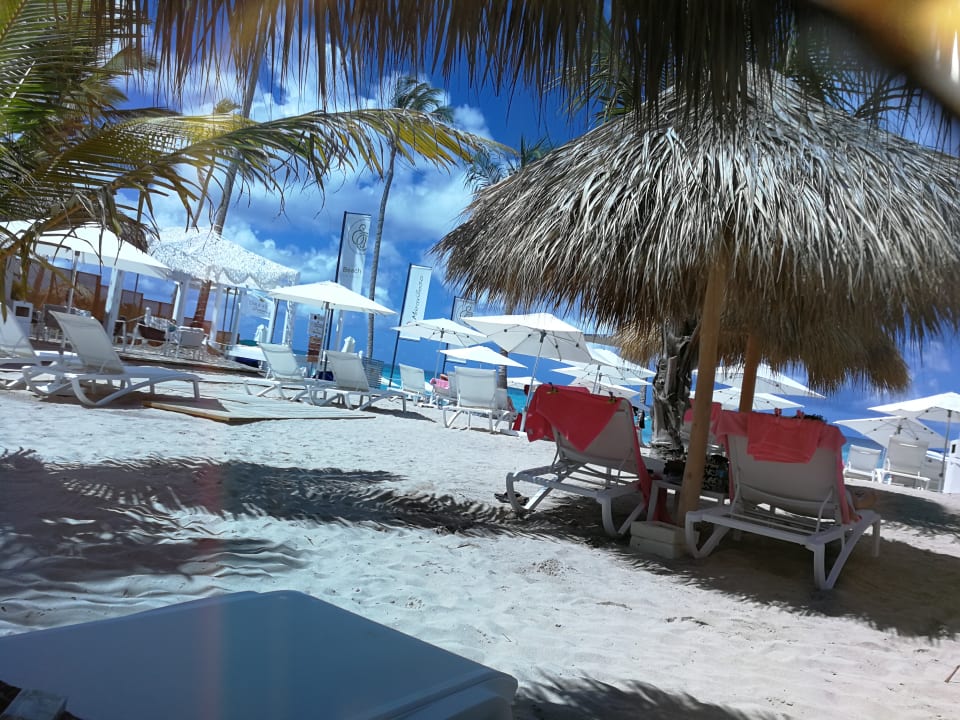 Alles ruhig Catalonia Royal La Romana - Adults only