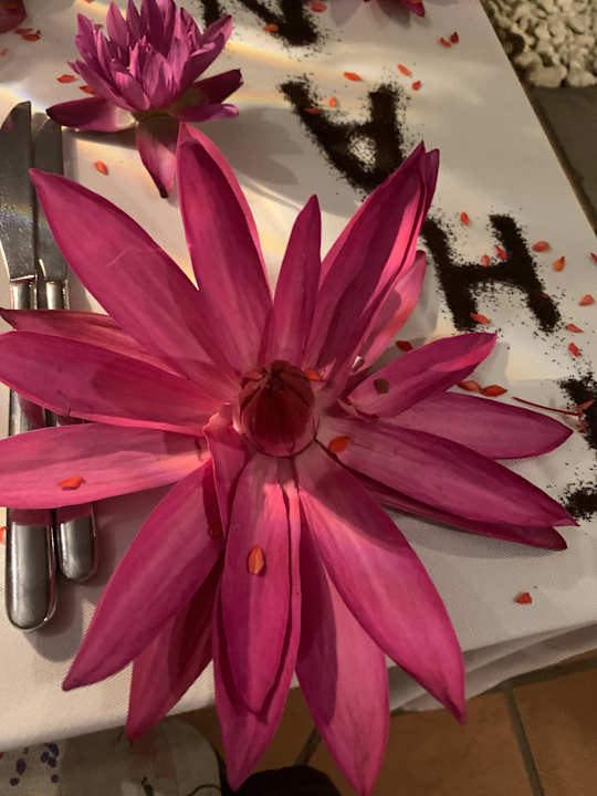 Gastro Hotel Lanka Princess Ayurveda