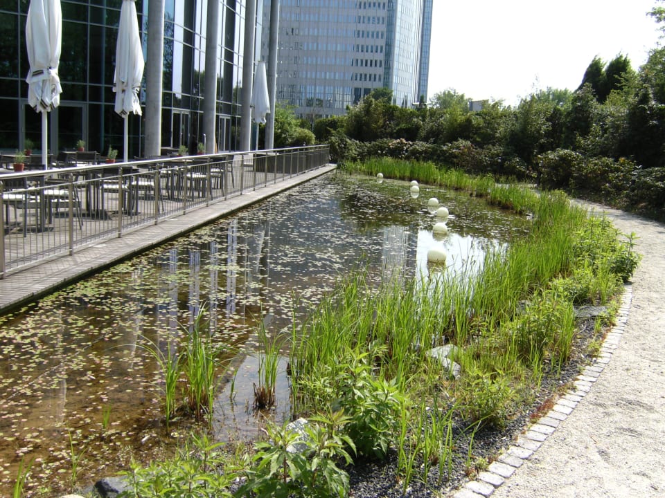 Die "Hotelterrasse" mit Teich Radisson Blu Hotel Frankfurt