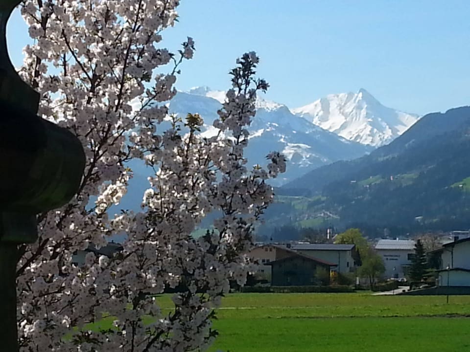 Apart Tyrol in Uderns im Zillertal - Ausblick Apart Tyrol