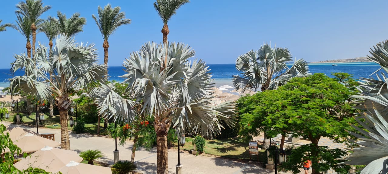 Ausblick Makadi Spa - Adults only